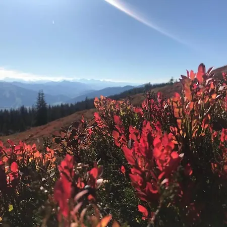 Dom wakacyjny Edelstein By Interhome *