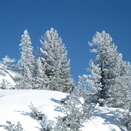 Edelstein By Interhome Casa vacanze *