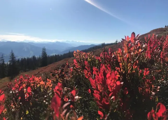 Holiday home Edelstein By Interhome *