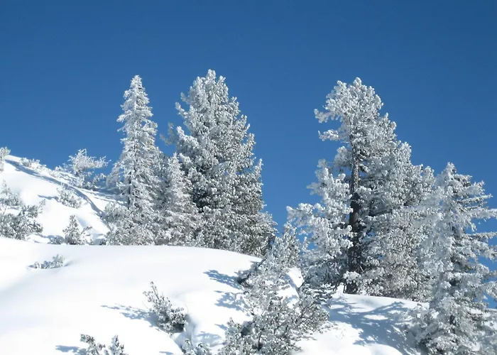 Edelstein By Interhome Holiday home *